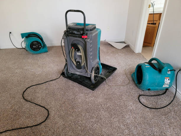 Water damage restoration process in Louisville, NE