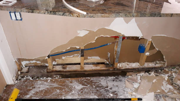 Best Water damage restoration process  in Louisville, NE