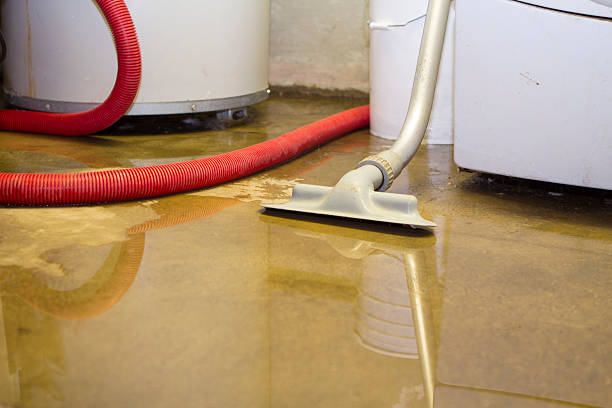 Best Ceiling water damage repair  in Louisville, NE