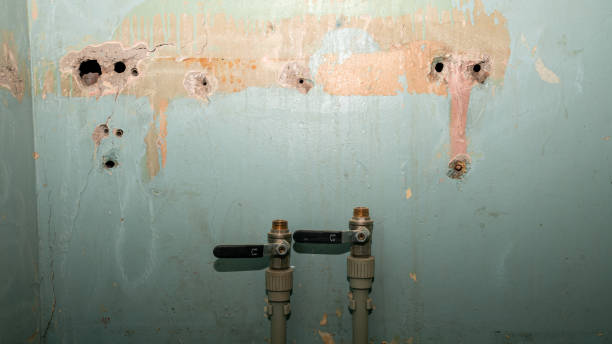Best 24/7 water damage repair  in Louisville, NE