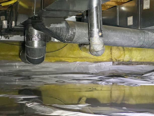 Best Water damage mitigation services  in Louisville, NE