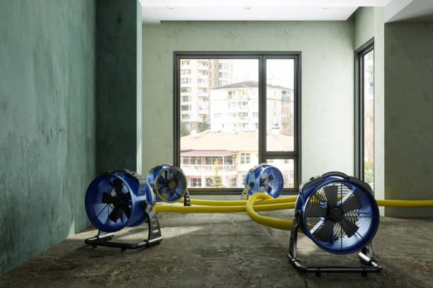 Best Residential water damage restoration  in Louisville, NE
