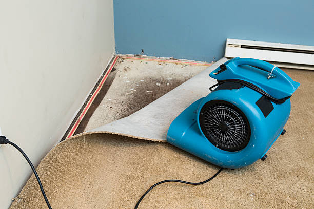 Best Fire Damage Restoration  in Louisville, NE